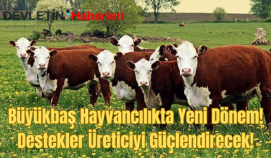 Büyükbaş Hayvancılıkta Yeni Dönem: Destekler Üreticiyi Güçlendirecek!