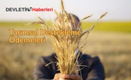 Tarımsal Destekleme Ödemeleri: Nasıl Sorgulama Yapılır?