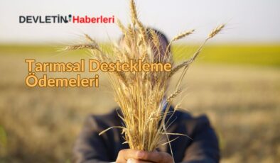 Tarımsal Destekleme Ödemeleri: Nasıl Sorgulama Yapılır?