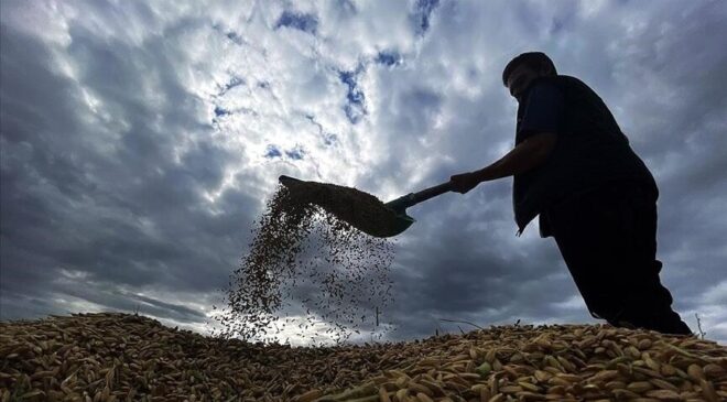 Yaklaşık 6,5 milyar lira tarımsal destekleme ödemesi bugün yapılacak
