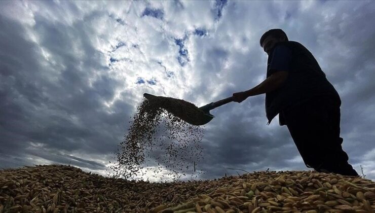 Yaklaşık 6,5 milyar lira tarımsal destekleme ödemesi bugün yapılacak