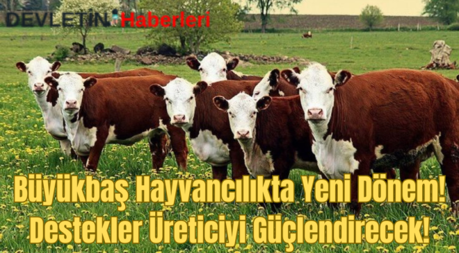 Büyükbaş Hayvancılıkta Yeni Dönem: Destekler Üreticiyi Güçlendirecek!
