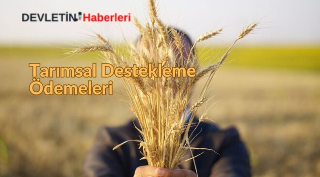 Tarımsal Destekleme Ödemeleri: Nasıl Sorgulama Yapılır?