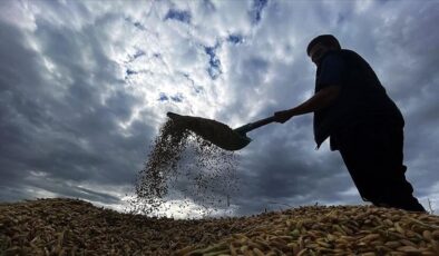 Yaklaşık 6,5 milyar lira tarımsal destekleme ödemesi bugün yapılacak
